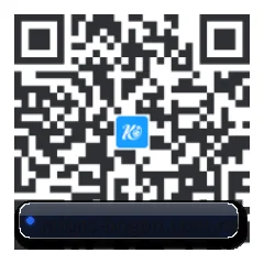 系统版 iOS 二维码